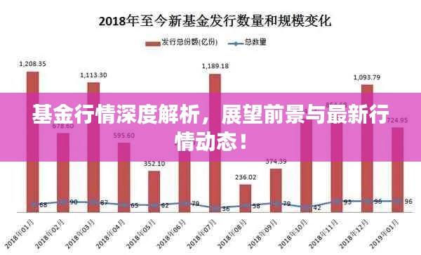 基金行情深度解析，展望前景與最新行情動態(tài)！