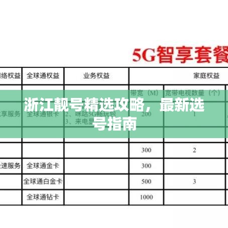 浙江靚號精選攻略，最新選號指南