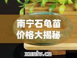 南寧石龜苗價格大揭秘，最新行情分析！