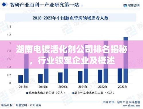 湖南電鍍活化劑公司排名揭秘，行業(yè)領軍企業(yè)及概述