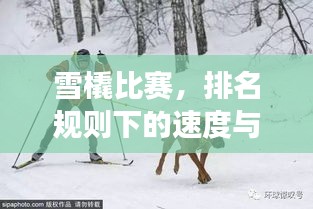 雪橇比賽，排名規(guī)則下的速度與激情角逐