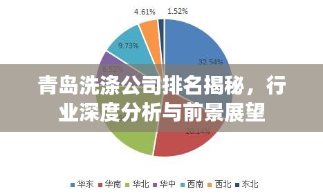 青島洗滌公司排名揭秘，行業(yè)深度分析與前景展望