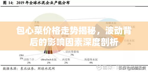 包心菜價(jià)格走勢揭秘，波動背后的影響因素深度剖析