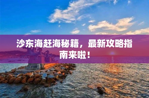 沙東海趕海秘籍，最新攻略指南來(lái)啦！