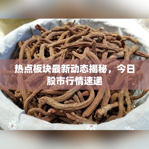 熱點(diǎn)板塊最新動(dòng)態(tài)揭秘，今日股市行情速遞