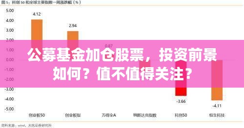 公募基金加倉(cāng)股票，投資前景如何？值不值得關(guān)注？