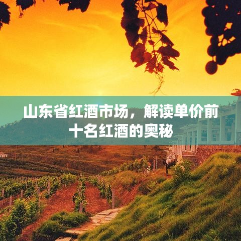 山東省紅酒市場(chǎng)，解讀單價(jià)前十名紅酒的奧秘