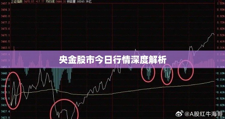 央金股市今日行情深度解析