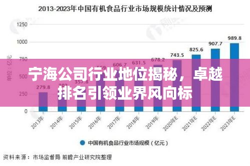 寧海公司行業(yè)地位揭秘，卓越排名引領業(yè)界風向標