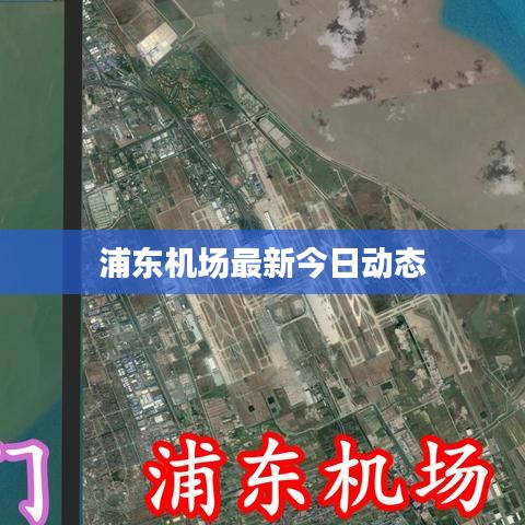 浦東機(jī)場最新今日動態(tài)