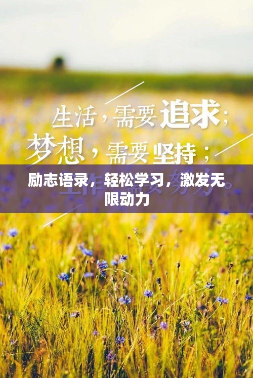 勵志語錄，輕松學(xué)習(xí)，激發(fā)無限動力