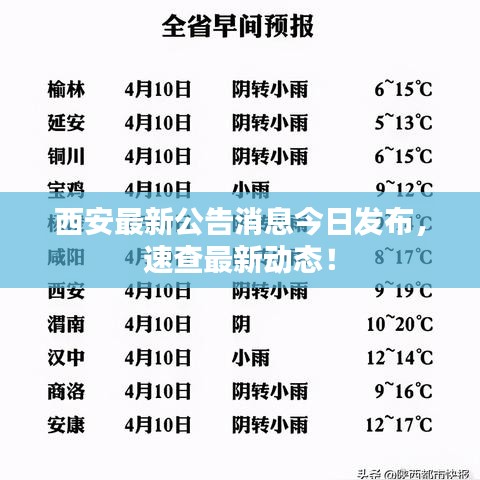 西安最新公告消息今日發(fā)布，速查最新動態(tài)！