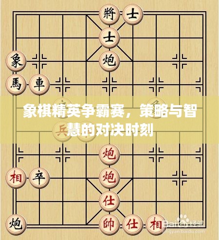 象棋精英爭霸賽，策略與智慧的對決時刻