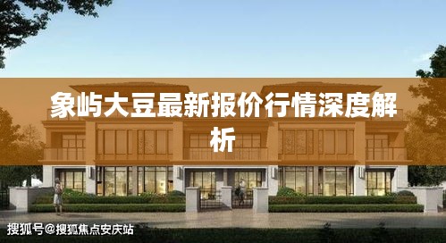 象嶼大豆最新報價行情深度解析