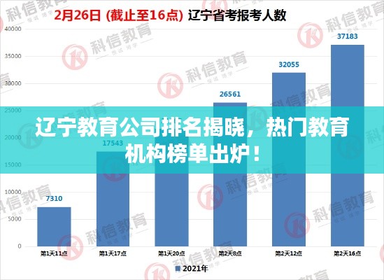 遼寧教育公司排名揭曉，熱門教育機構(gòu)榜單出爐！