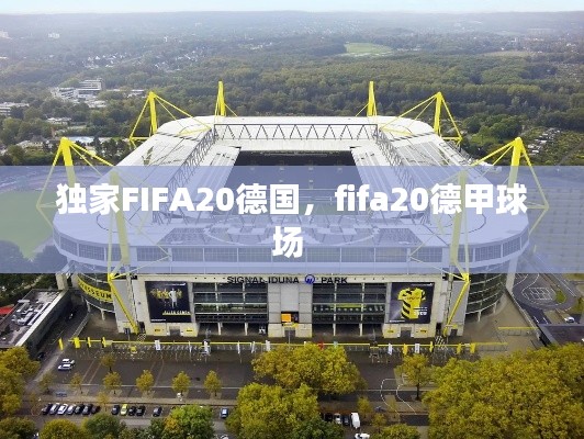 獨(dú)家FIFA20德國，fifa20德甲球場 