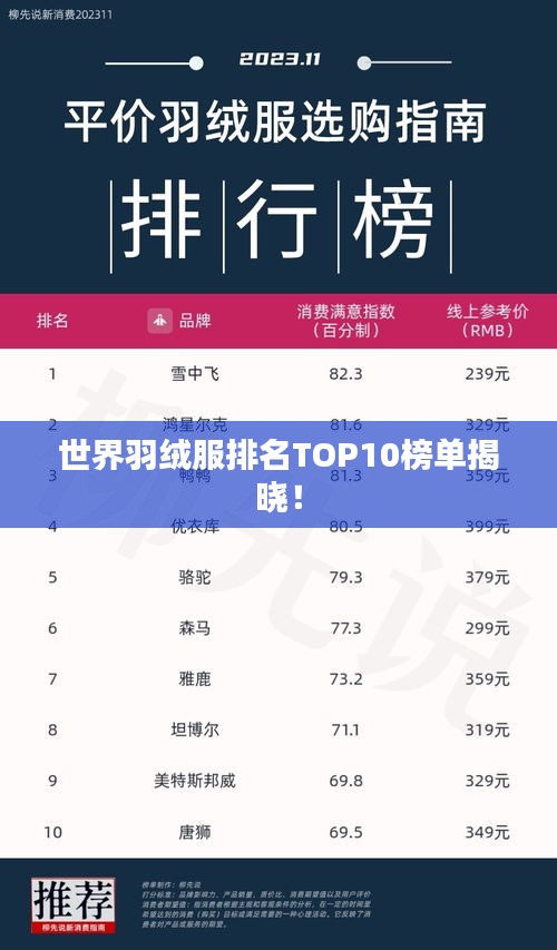 世界羽絨服排名TOP10榜單揭曉！