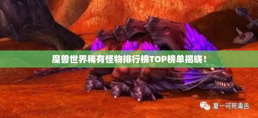 魔獸世界稀有怪物排行榜TOP榜單揭曉！