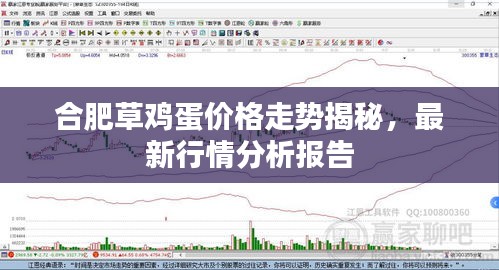 合肥草雞蛋價(jià)格走勢(shì)揭秘，最新行情分析報(bào)告