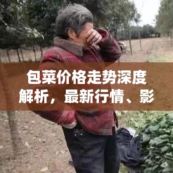 包菜價格走勢深度解析，最新行情、影響因素及預(yù)測