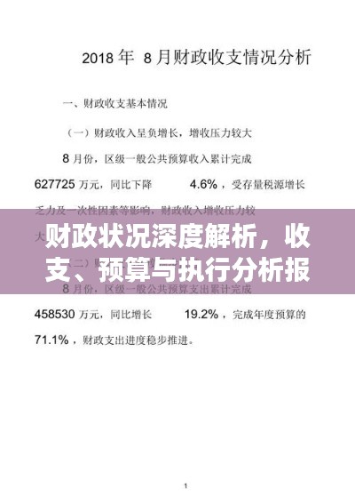 財政狀況深度解析，收支、預算與執(zhí)行分析報告