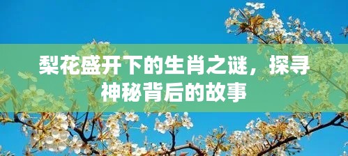 梨花盛開下的生肖之謎，探尋神秘背后的故事