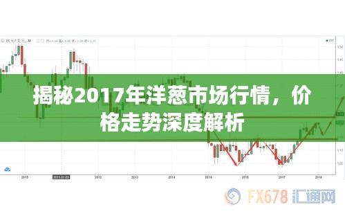 揭秘2017年洋蔥市場行情，價(jià)格走勢深度解析