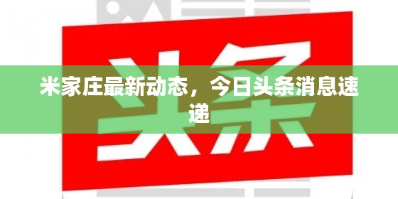 米家莊最新動(dòng)態(tài)，今日頭條消息速遞