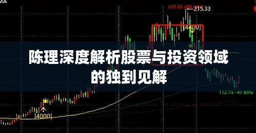 陳理深度解析股票與投資領(lǐng)域的獨(dú)到見解