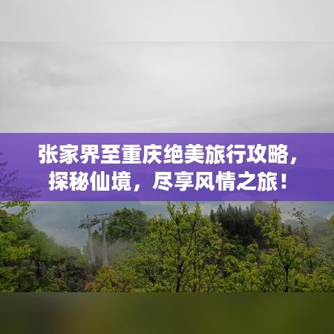 張家界至重慶絕美旅行攻略，探秘仙境，盡享風(fēng)情之旅！