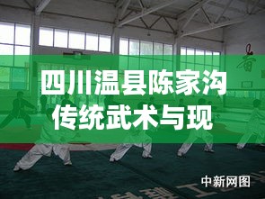 四川溫縣陳家溝傳統(tǒng)武術(shù)與現(xiàn)代文化交融的最新新聞?lì)^條