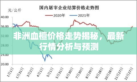 非洲血檀價(jià)格走勢(shì)揭秘，最新行情分析與預(yù)測(cè)