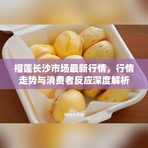 員工入口 第11頁