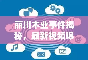 麗川木業(yè)事件揭秘，最新視頻曝光，深度探究背后真相