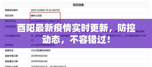 酉陽(yáng)最新疫情實(shí)時(shí)更新，防控動(dòng)態(tài)，不容錯(cuò)過！