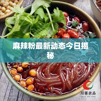 麻辣粉最新動(dòng)態(tài)今日揭秘