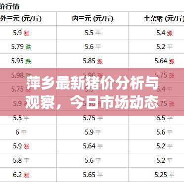 萍鄉(xiāng)最新豬價(jià)分析與觀察，今日市場(chǎng)動(dòng)態(tài)揭秘