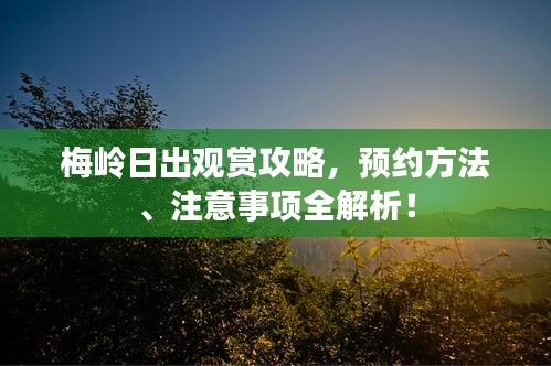 梅嶺日出觀賞攻略，預(yù)約方法、注意事項全解析！