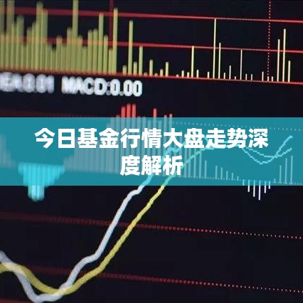 今日基金行情大盤走勢(shì)深度解析