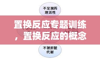 置換反應(yīng)專題訓(xùn)練，置換反應(yīng)的概念和例子 