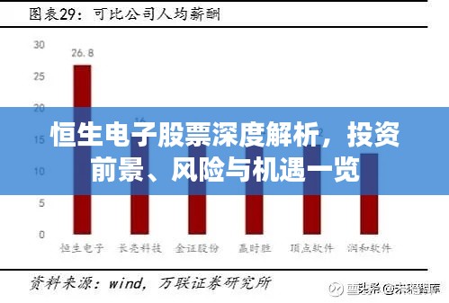 恒生電子股票深度解析，投資前景、風(fēng)險(xiǎn)與機(jī)遇一覽