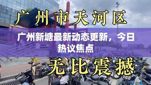 廣州新塘最新動態(tài)更新，今日熱議焦點