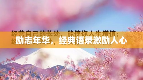 勵志年華，經(jīng)典語錄激勵人心