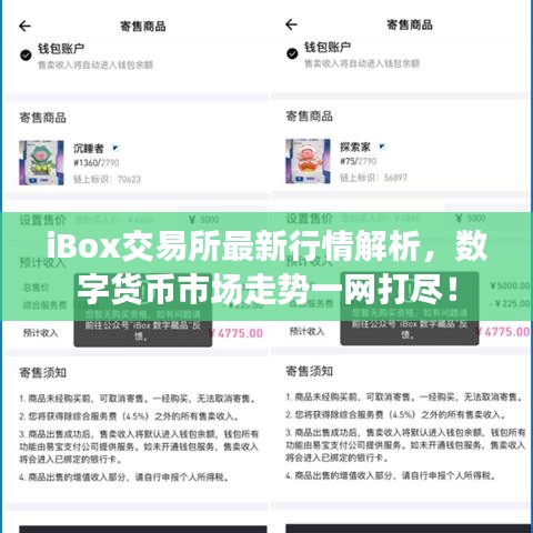 iBox交易所最新行情解析，數字貨幣市場走勢一網打盡！