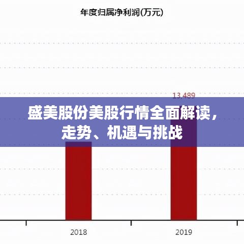 盛美股份美股行情全面解讀，走勢(shì)、機(jī)遇與挑戰(zhàn)