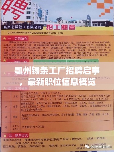 鄂州錫條工廠招聘啟事，最新職位信息概覽