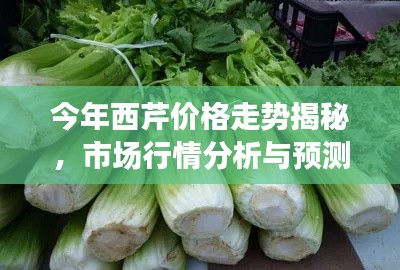 今年西芹價(jià)格走勢揭秘，市場行情分析與預(yù)測