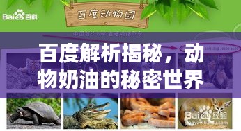 百度解析揭秘，動(dòng)物奶油的秘密世界！