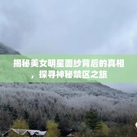 揭秘美女明星面紗背后的真相，探尋神秘禁區(qū)之旅