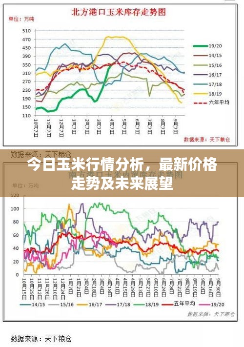 今日玉米行情分析，最新價格走勢及未來展望